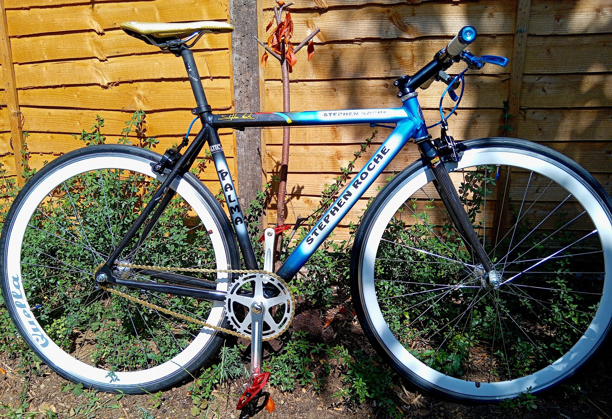 Stephen Roche Project